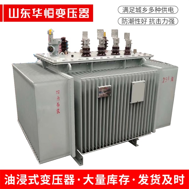 S13-10000/35朗县朗县朗县电力变压器厂家