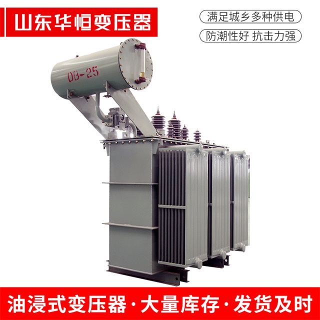 S11-10000/35朗县朗县朗县电力变压器厂家
